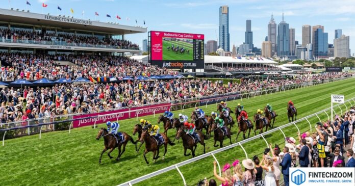 melbourne cup tips justracing.com.au